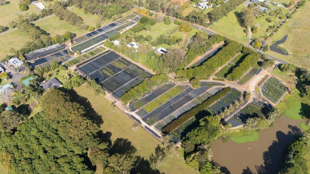 Aerial overview of the Cape Nursery property