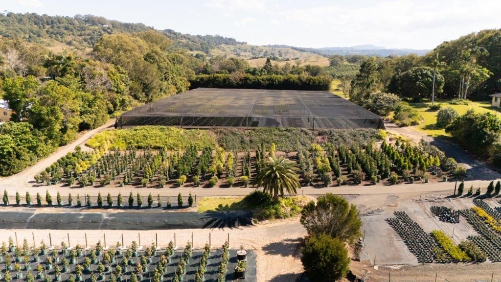 Aerial view of Cape Nursery's 20-acre property at Ewingsdale, Northern Rivers NSW