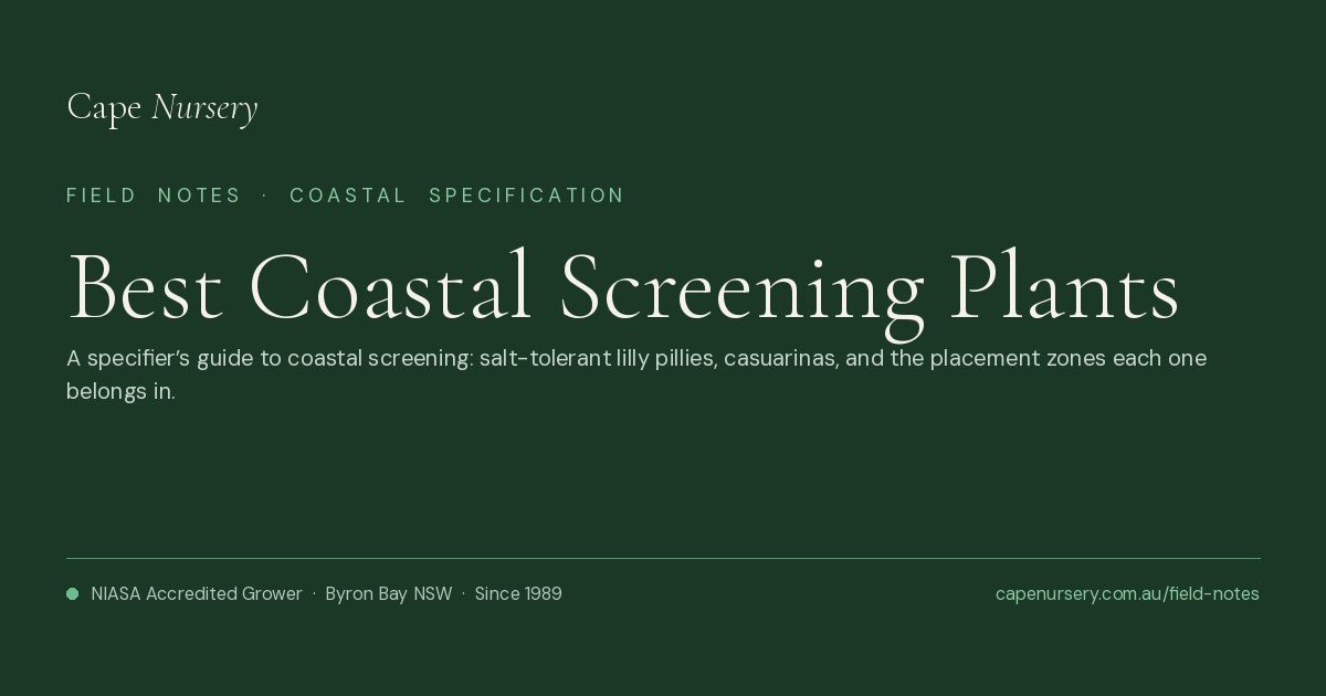 Best Coastal Screening Plants for Australian Sites
