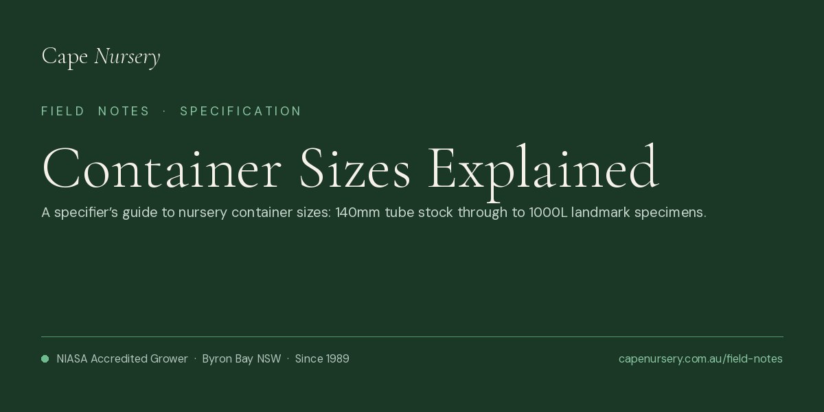 Container Sizes Explained: When to Specify Advanced Trees